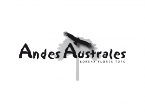 Logodesign: ©Gabriele Stautner, ARTIFOX, Andes Australes, reisen Sie durch Chile unter Leitung von Lorena Flores Toro und Dr. Renate Hirschfelder