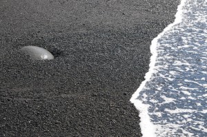 Fotografie: Island ©Gabriele Stautner, ARTIFOX