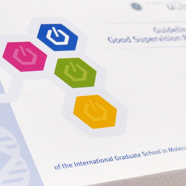 Corporate Design: International Graduate School in Molecular Medicine Ulm, iPad presentation