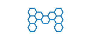 Logo for the International Graduate School in Molecular Medicine