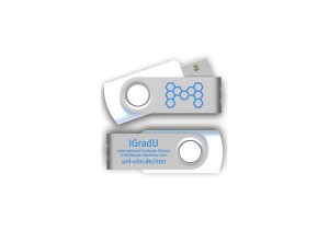Corporate Design: International Graduate School in Molecular Medicine Ulm, USB-Stick