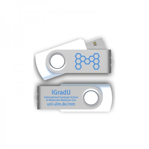 Corporate Design: International Graduate School in Molecular Medicine Ulm, USB-Stick