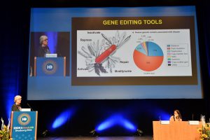 Photo: Gabriele Stautner, artifox.com