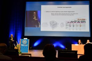 Photo: Gabriele Stautner, artifox.com