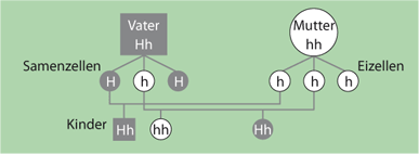 Huntington-Gen