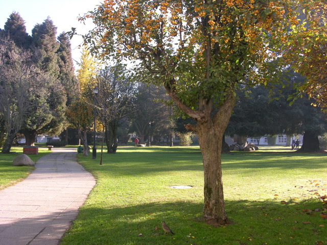 DSCN9552.JPG