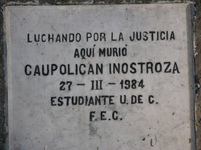 DSCN9553.JPG
