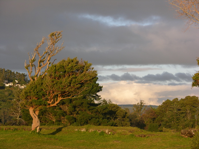 DSCN9428.JPG