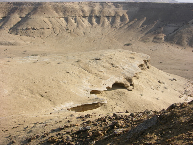DSCN9572.JPG