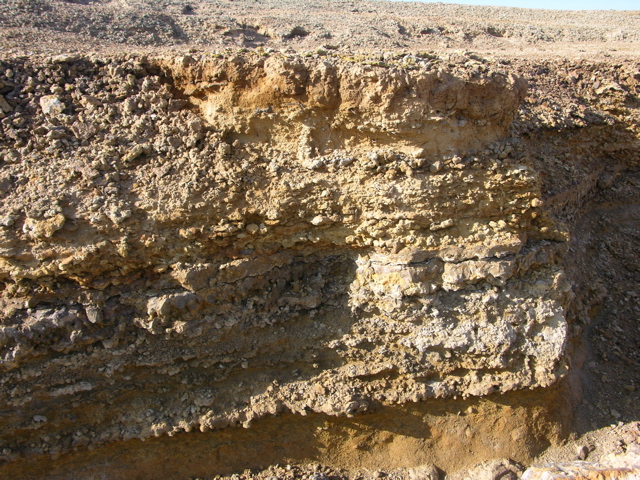 DSCN9573.JPG