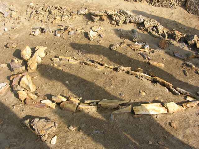 DSCN9575.JPG