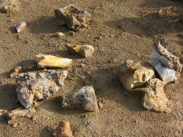 DSCN9576.JPG
