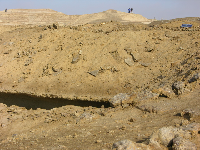 DSCN9577.JPG