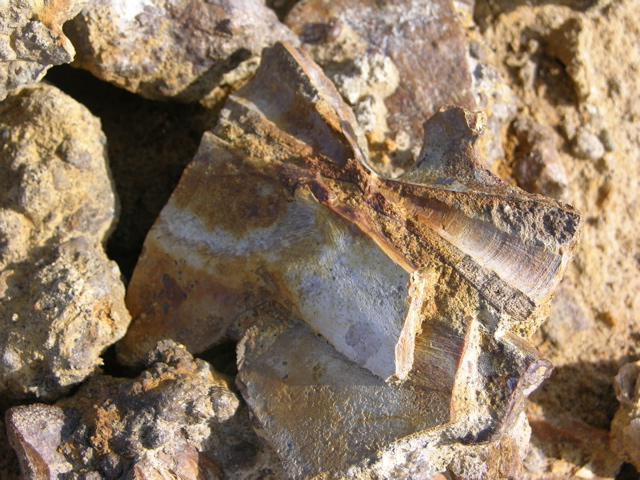 DSCN9578.JPG