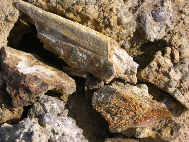 DSCN9579.JPG