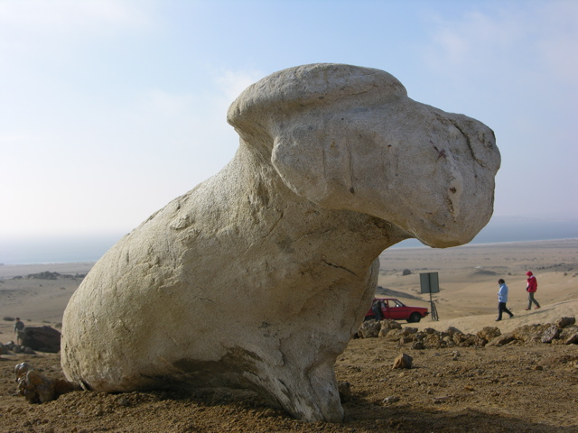 DSCN9581.JPG