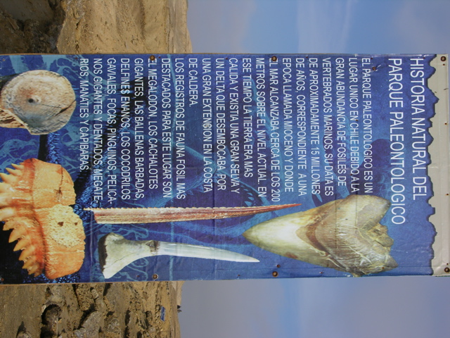 DSCN9582.JPG