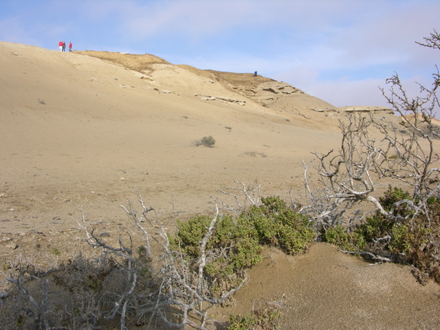 DSCN9585.JPG