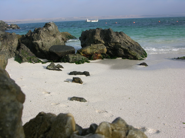 DSCN9589.JPG