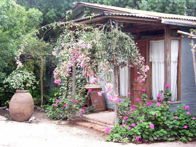 DSCN9591.JPG