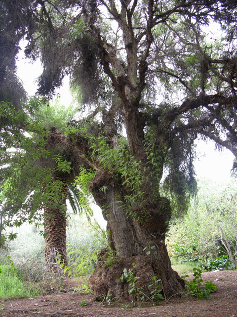 DSCN9592.JPG