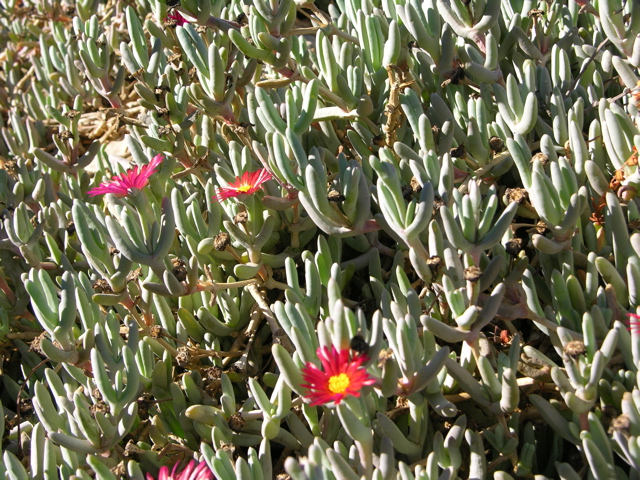 DSCN9614.JPG