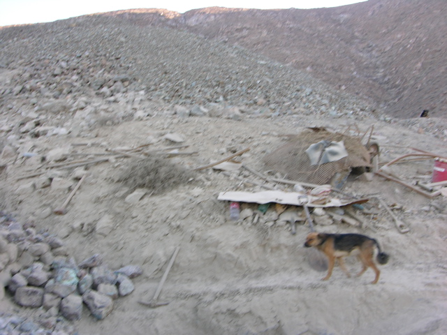 DSCN9625.JPG