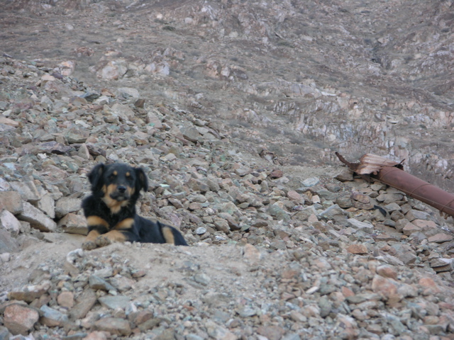 DSCN9626.JPG