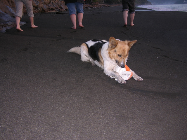 DSCN9435.JPG