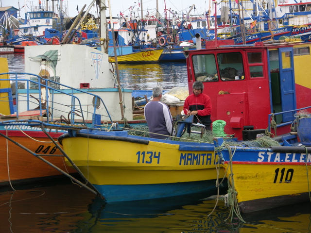 DSCN9663.JPG