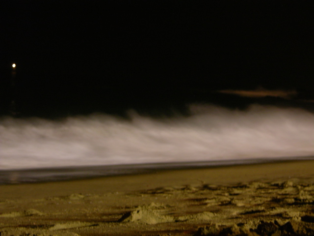 DSCN9672.JPG