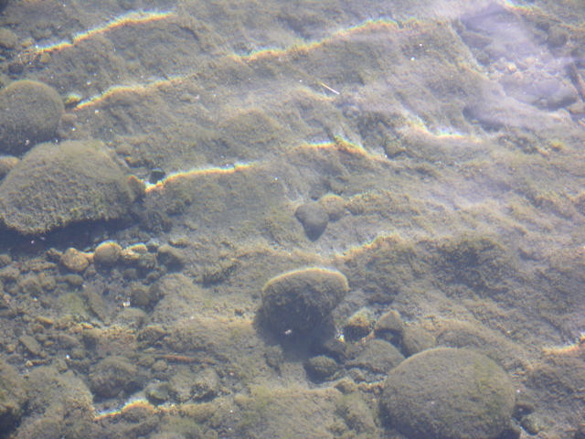 DSCN9438.JPG