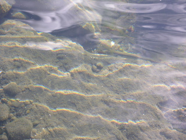 DSCN9439.JPG