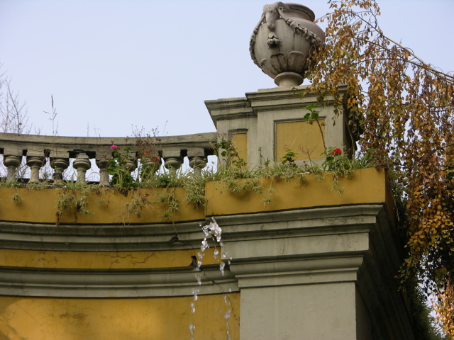DSCN9736.JPG