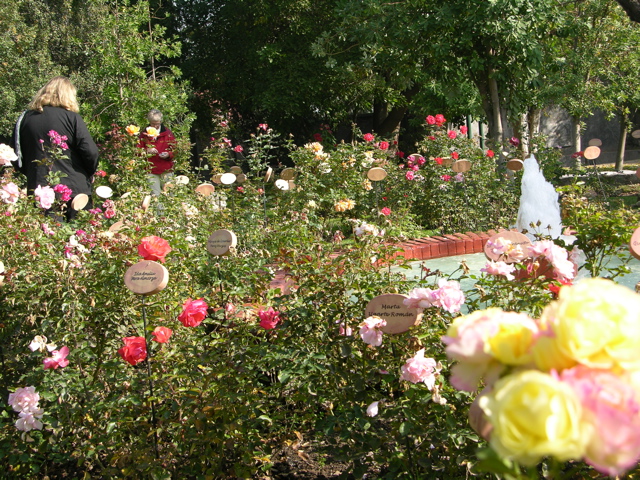 DSCN9769.JPG