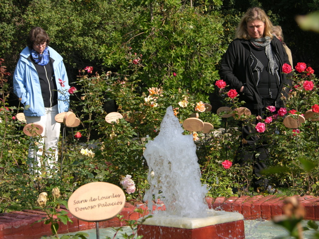 DSCN9770.JPG