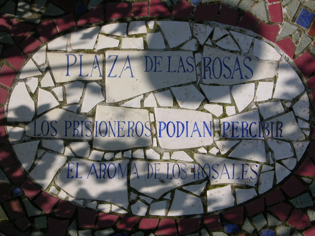 DSCN9771.JPG