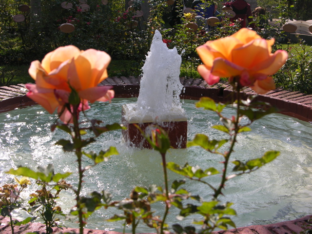 DSCN9772.JPG
