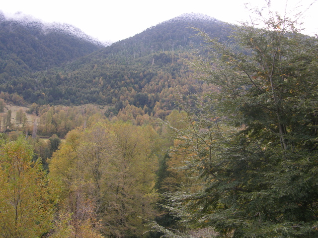 DSCN9445.JPG
