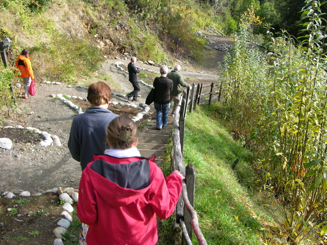 DSCN9447.JPG