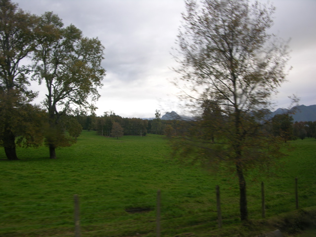 DSCN9455.JPG