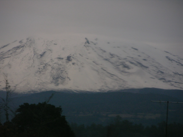 DSCN9457.JPG