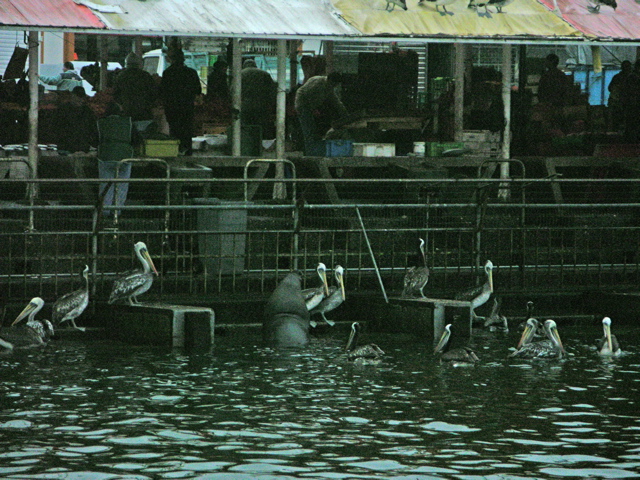 DSCN9458.JPG