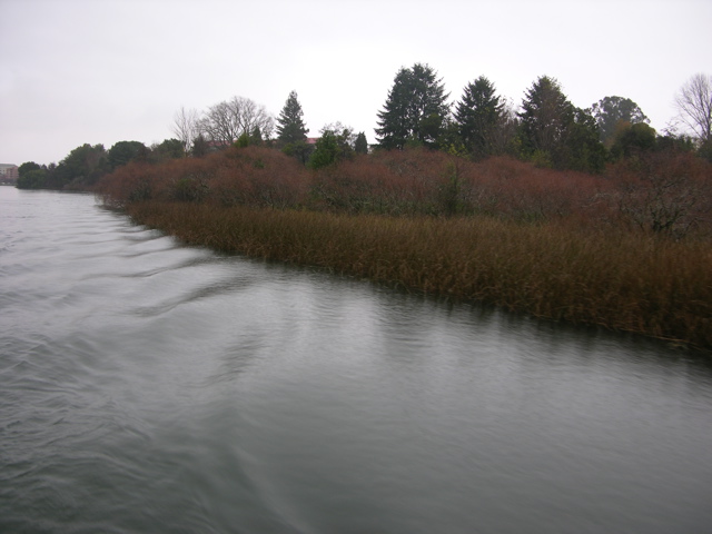 DSCN9464.JPG