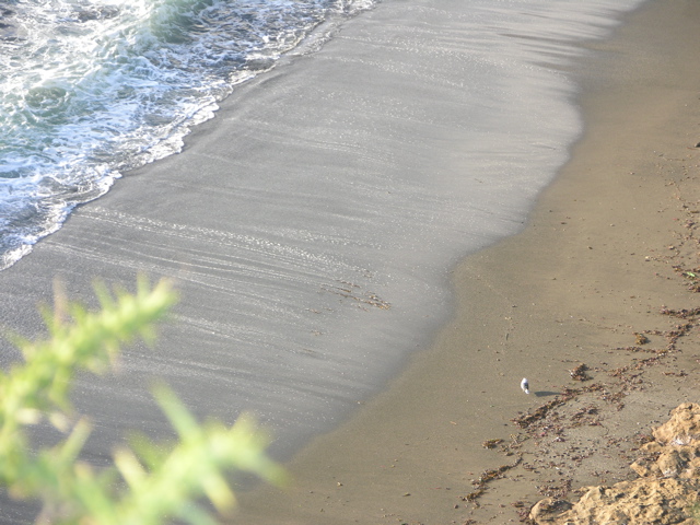DSCN9425.JPG
