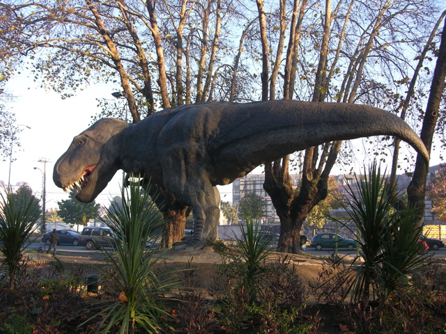 DSCN9532.JPG