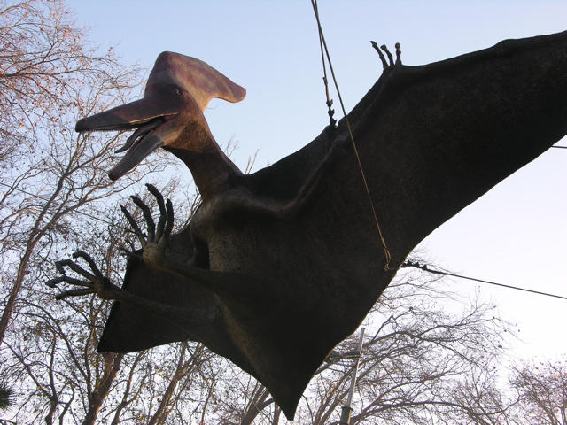 DSCN9534.JPG