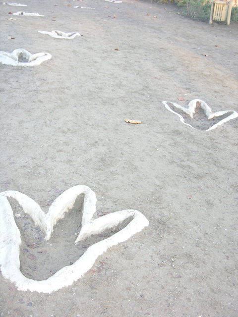 DSCN9535.JPG