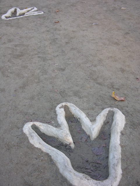 DSCN9536.JPG