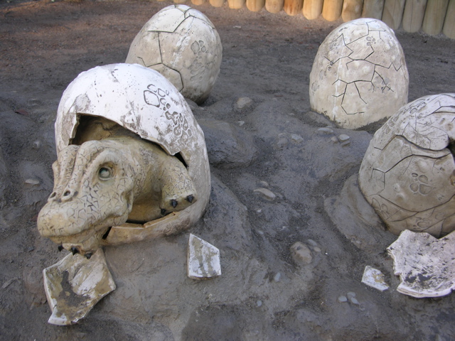 DSCN9537.JPG
